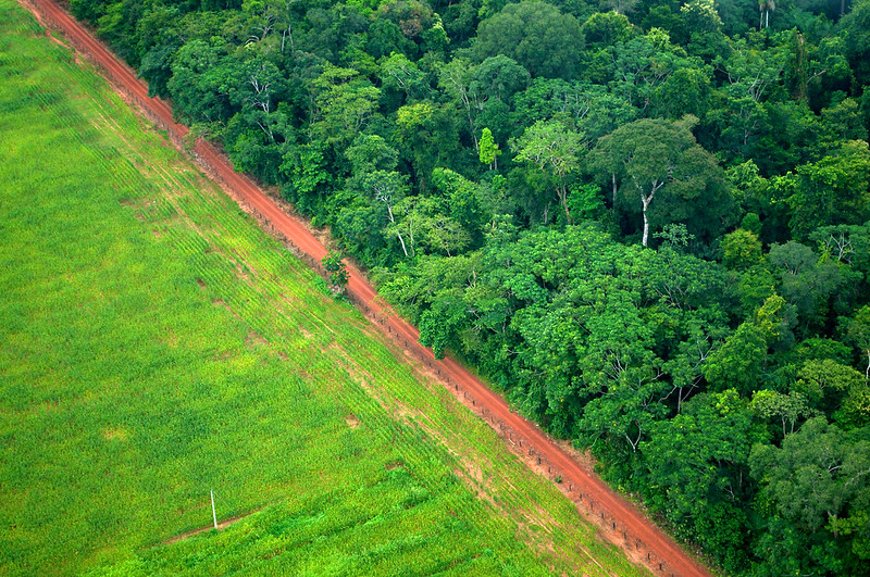 Brazil Deforestation CIFOR