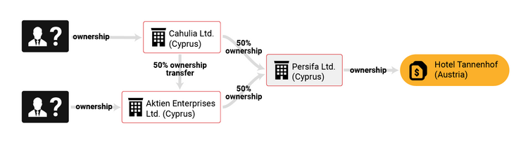 Infographic showing 50% ownership split between two anonymous people