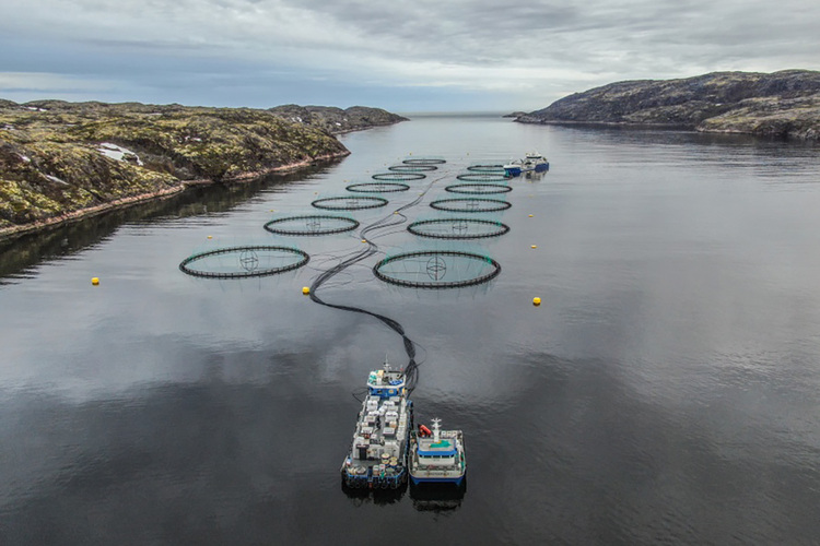Russian Aquaculture’s open-sea fish farming cages