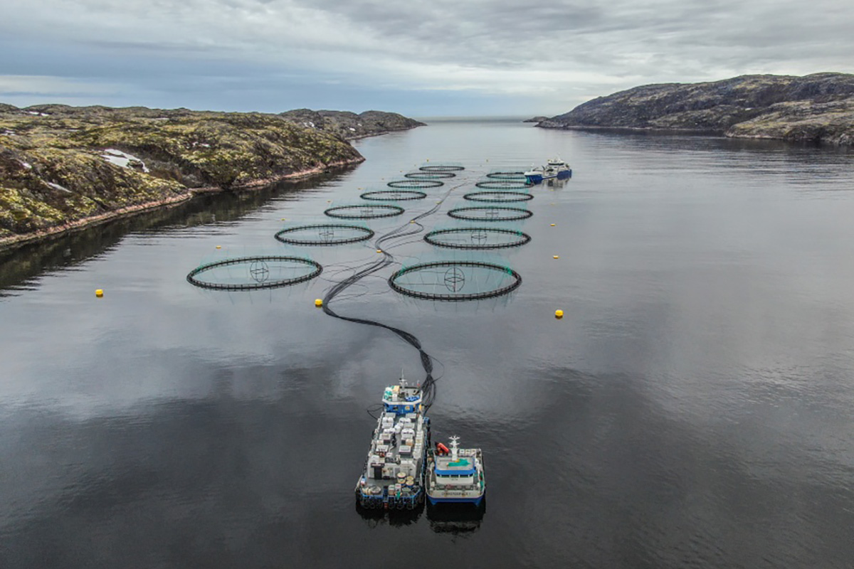 asset-tracker/Salmon-Farm-Murmansk.jpg