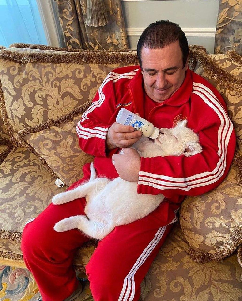 gagik lion2