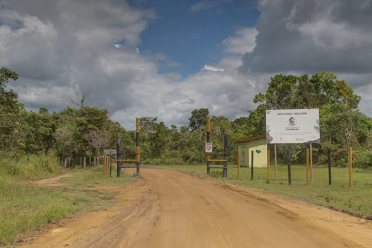 The entrance to the Pau Brasil National Park