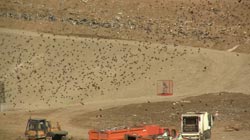 dump-photo-1