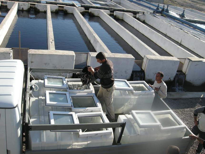 Armenia Prime Minister Hovik Abrahamyan's family holds shares in at least 35 companies, including Ecofish Trade Fishery.