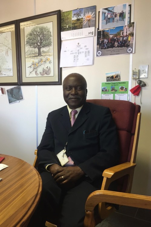 Director of Forestry Joseph Hailwa. (Credit: John Grobler)