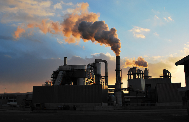 Carbon credits are in high demand from industrial corporations.