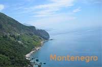 monte3