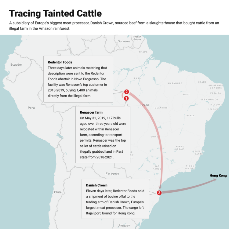 Infographic tracing tainted cattle