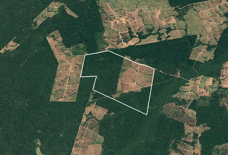 Satellite image showing farm in 2020