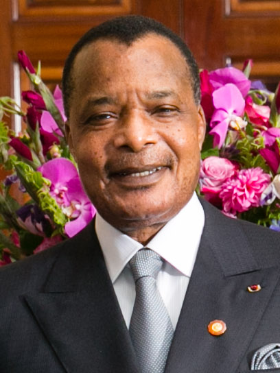 investigations/Denis-Sassou-Nguesso-2014.jpg