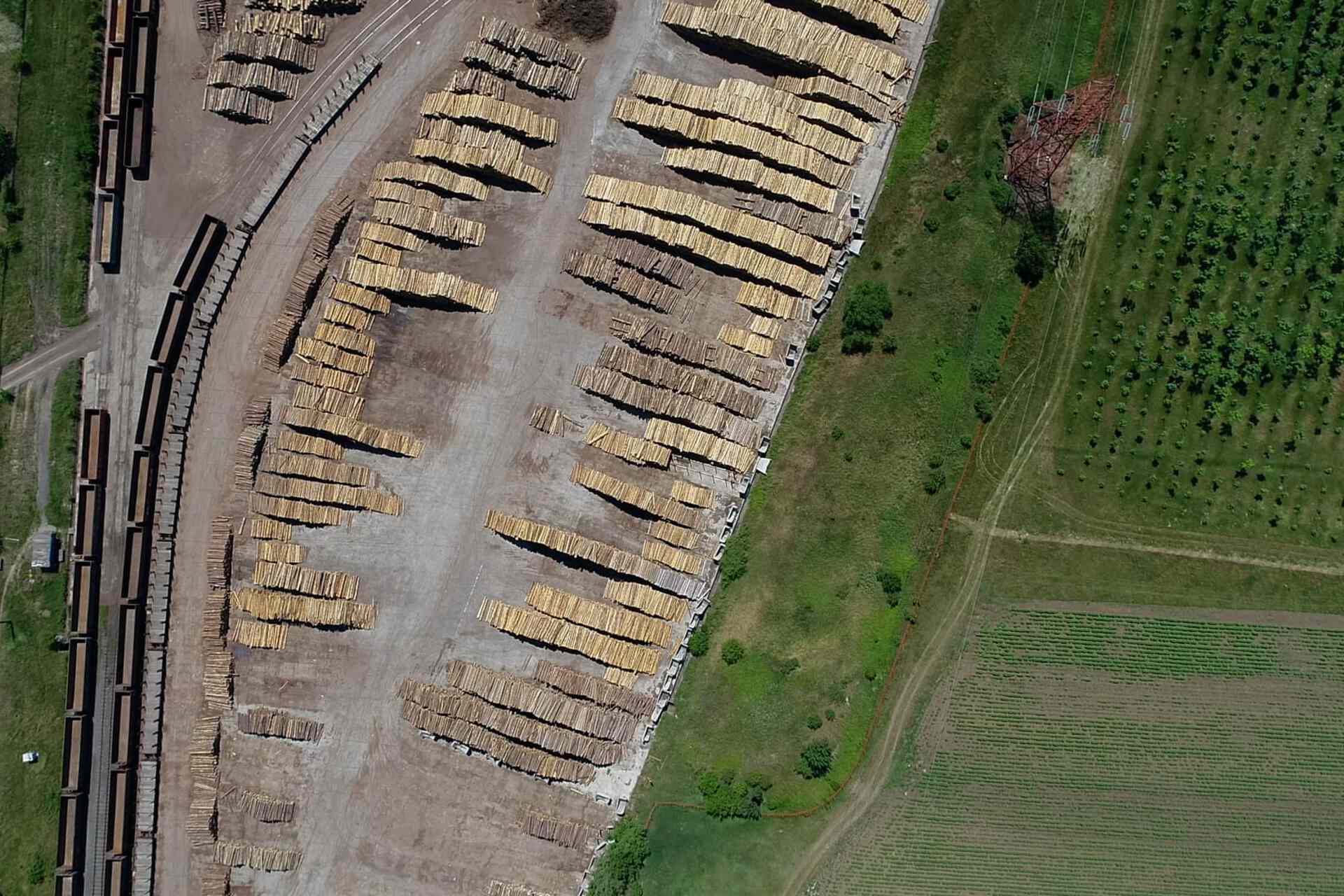Eastern Europe’s Biggest Wood Processor Demanded Free Timber From