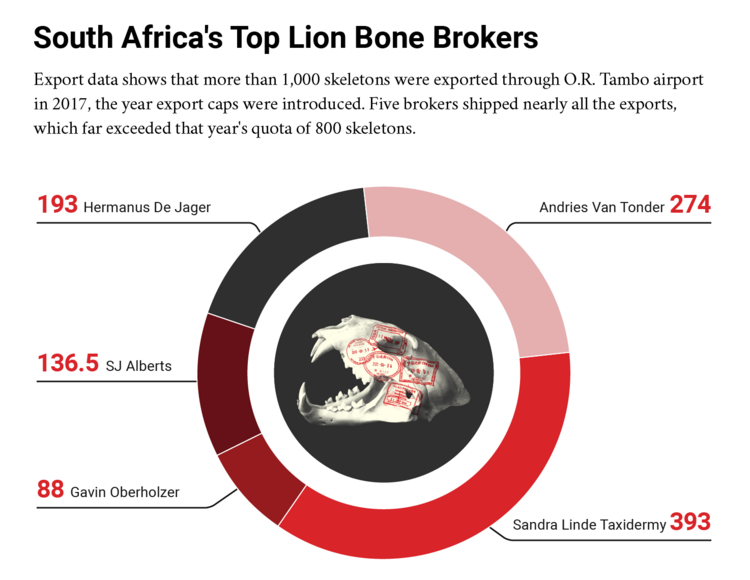 A pie chart showing South Africa's top lion bone brokers