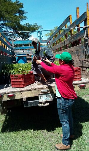 People unloading plants from a truck