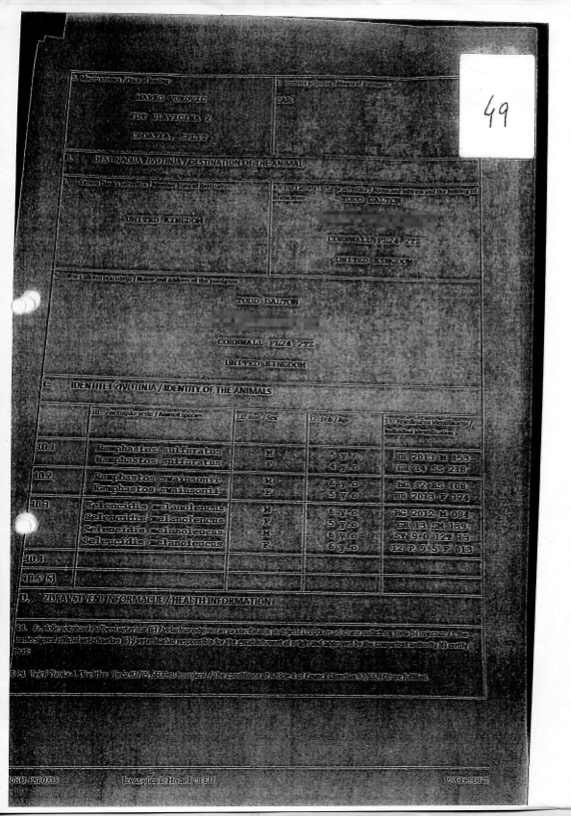 investigations/Todd-Dalton-Document-2-Redact.jpg