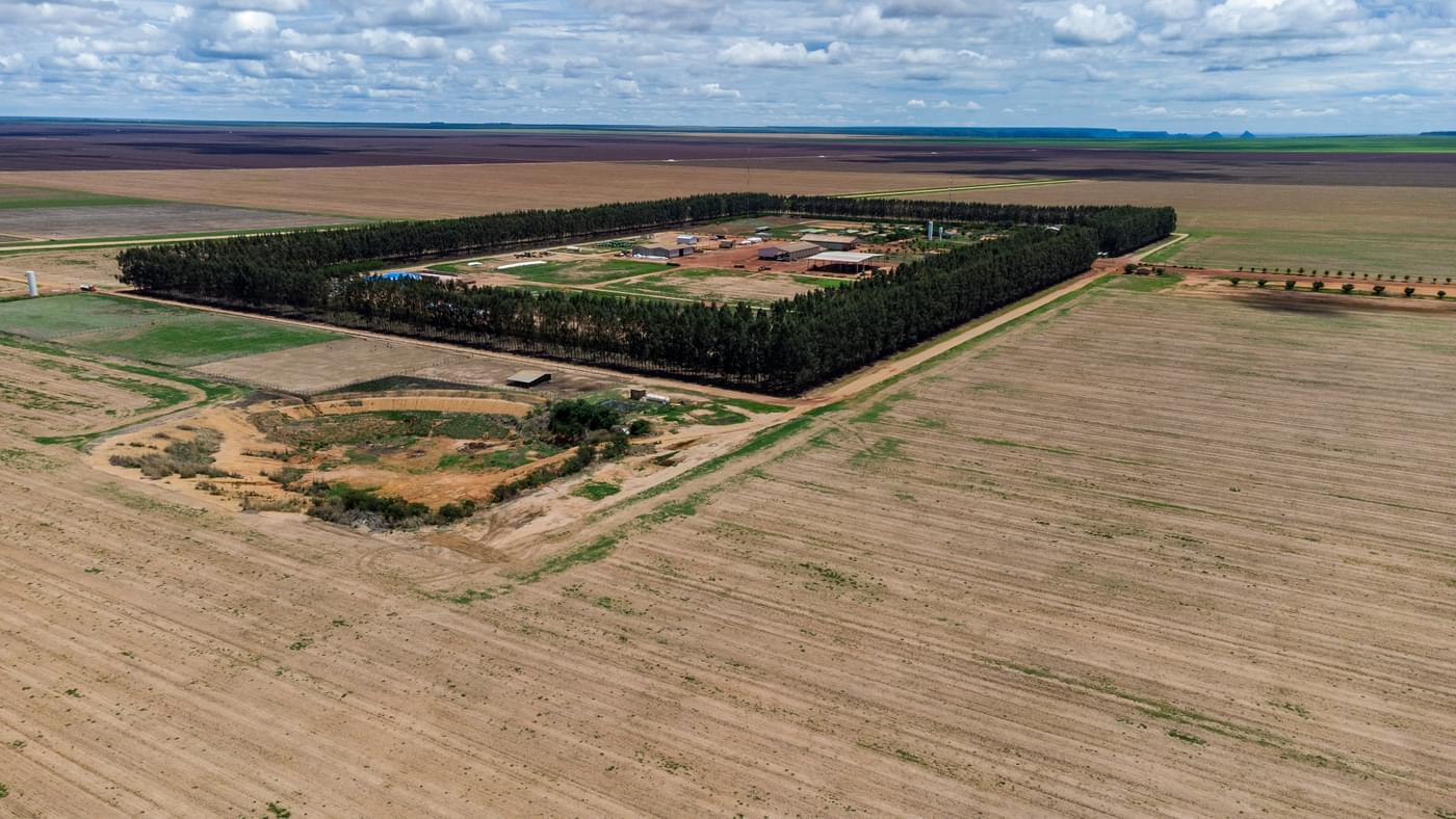 investigations/formoso-da-rio-preto-soybean-farm.jpg