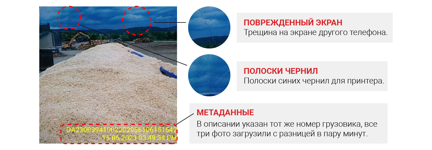investigations/romania-timber-6-rus.jpg