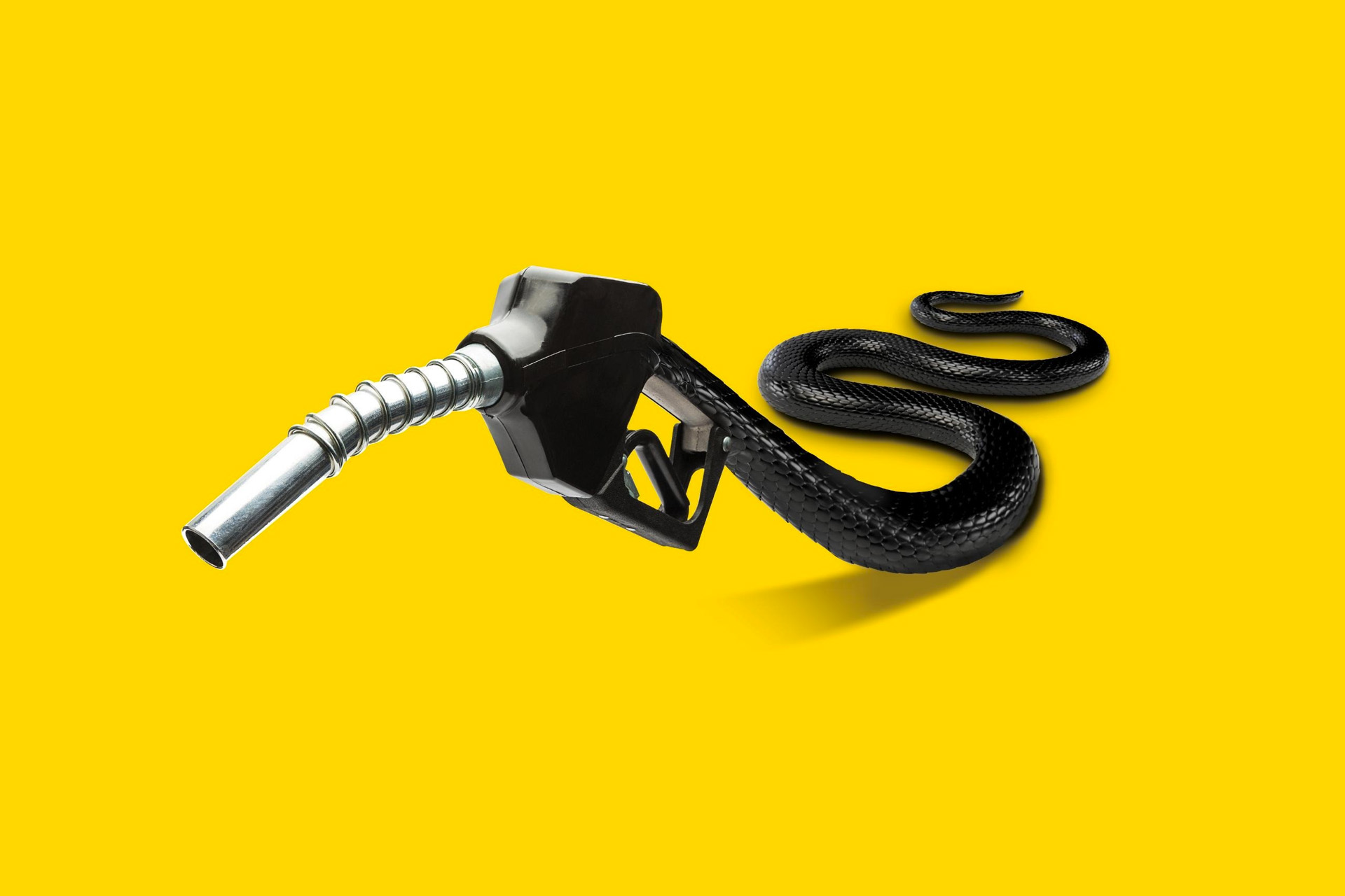 How Biofuels Scams Have Undermined A Flagship EU Climate Policy OCCRP