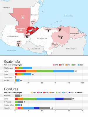 Infographic showing the distribution of coca plantations