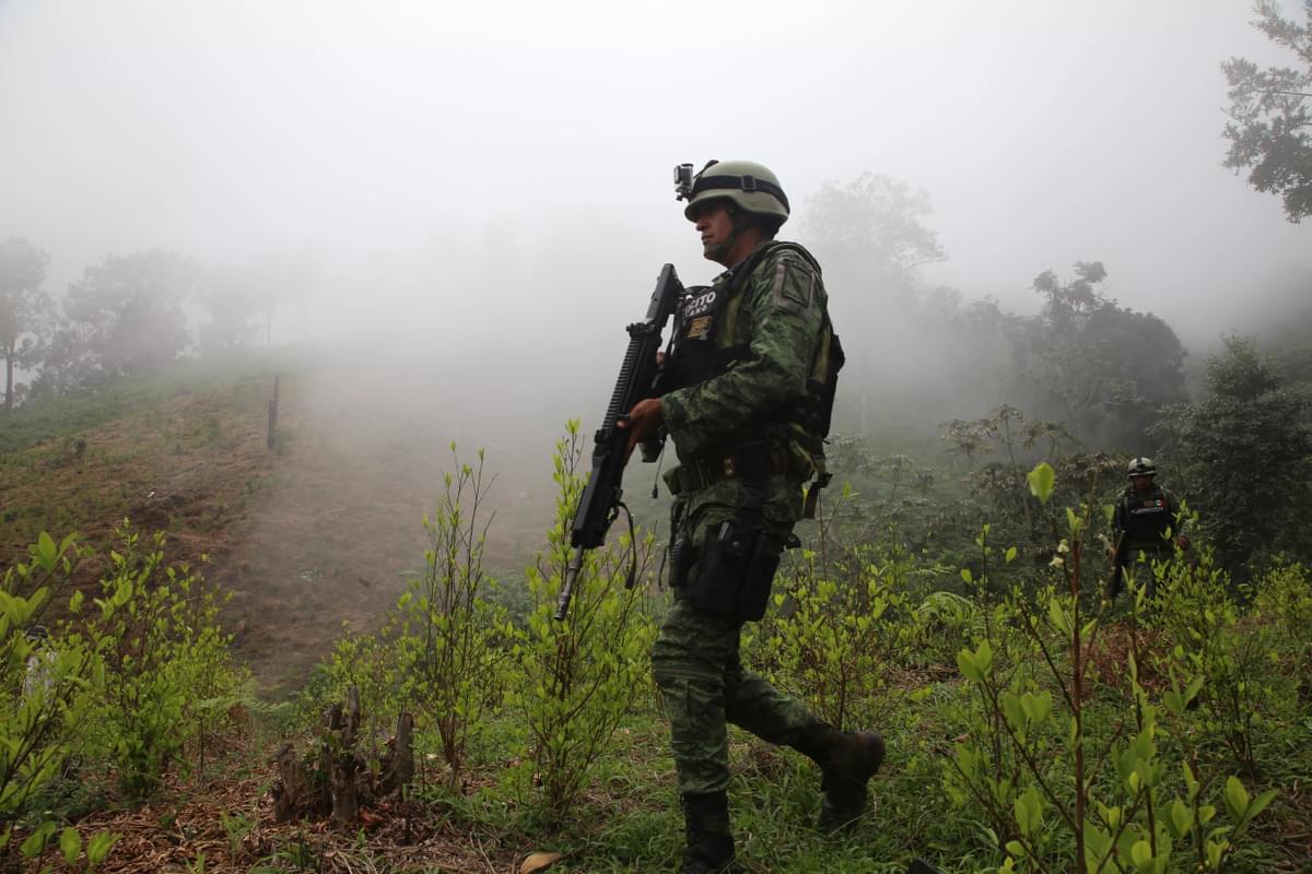 narcofiles-the-new-criminal-order/mexican-soldier-carries-flamethrower.jpg