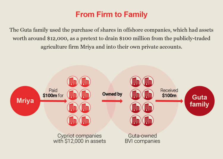 A diagram showing how the Guta family siphoned money out of their company Mriya Agro