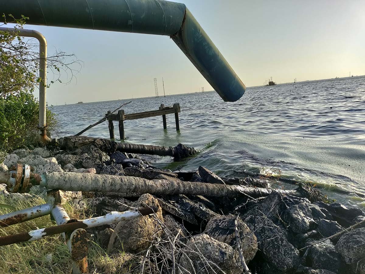 The shore of Lake Maracaibo