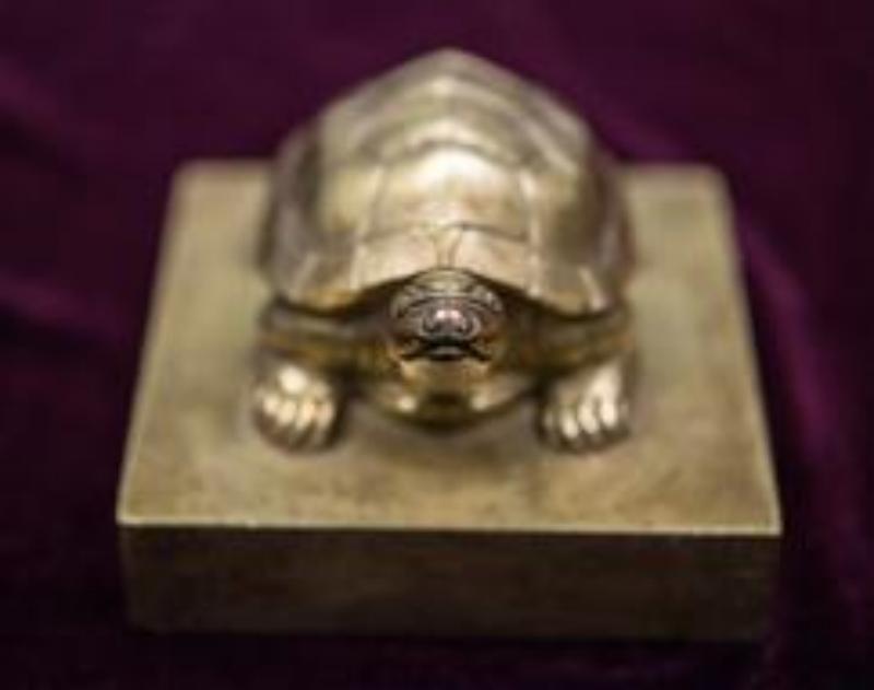 the-fincen-files/Turtle.jpg