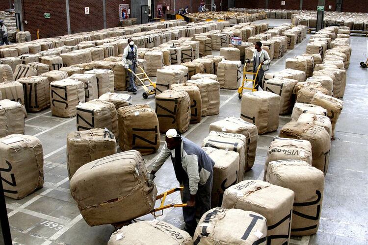 Workers arrange bags of tobacco leaves at a company warehouse