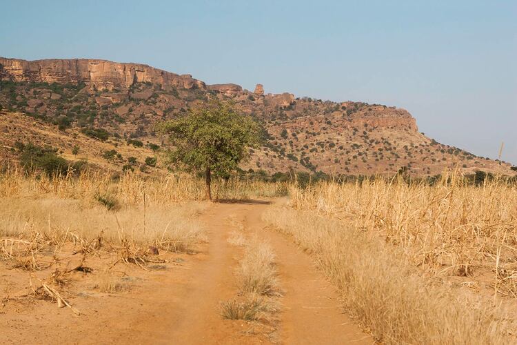 A road through the Sahel
