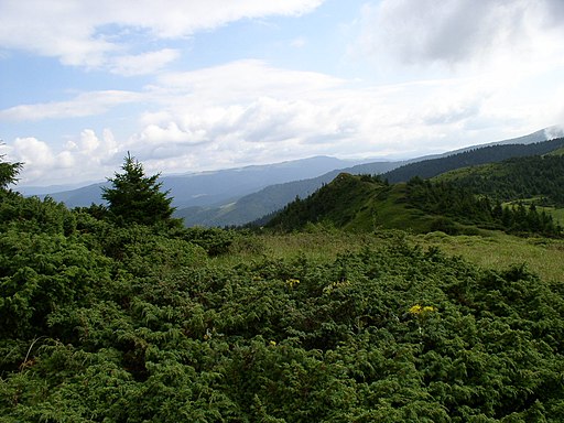 Ukraine-Carpathian Mountains-Chornohora Range-30