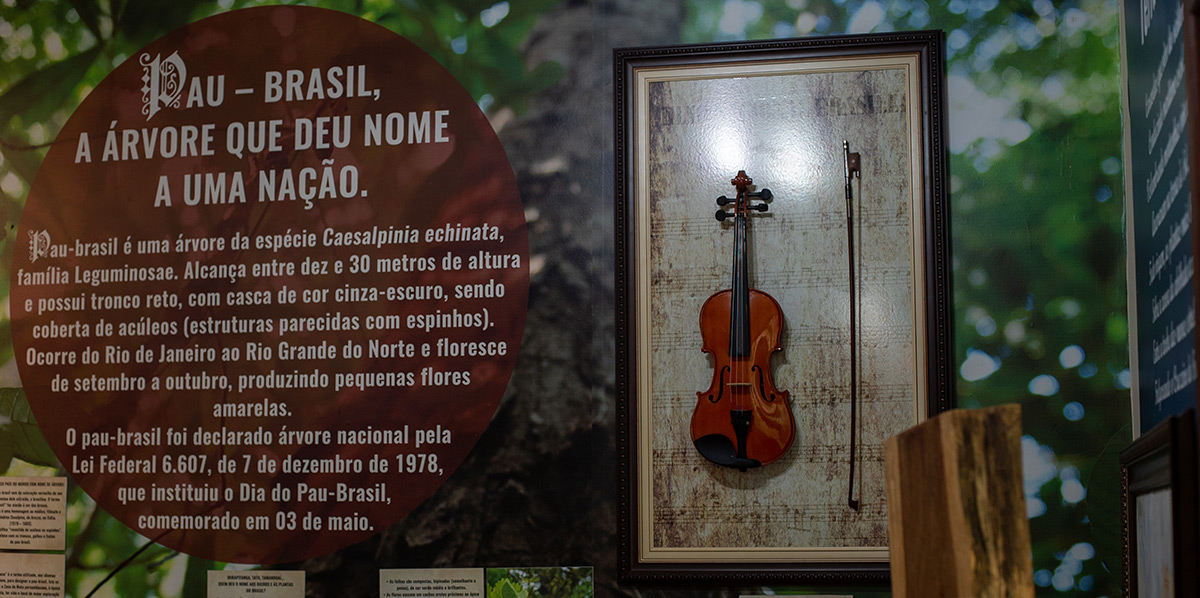 A panel tells the history of Brazilwood