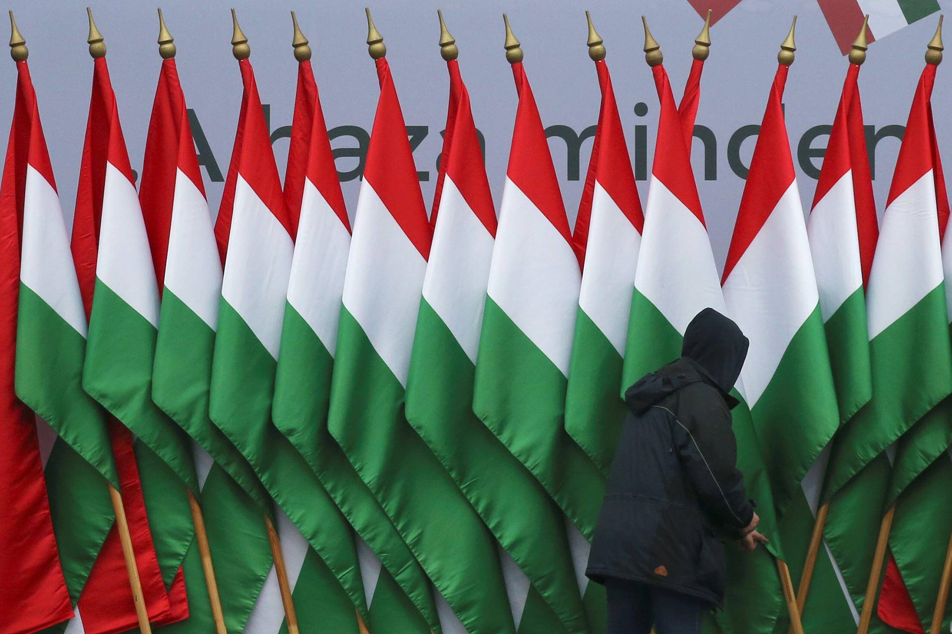 Hungarian flags
