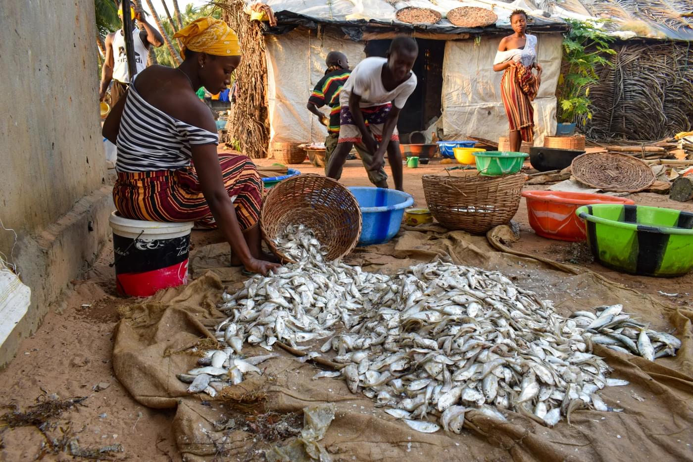 Fishers with their catch in Banda