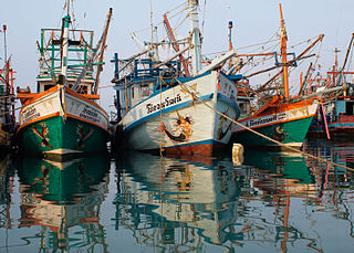Transshipping at sea allows illegally caught fish to be mixed with legal catch. (Source: Wikimedia Commons)
