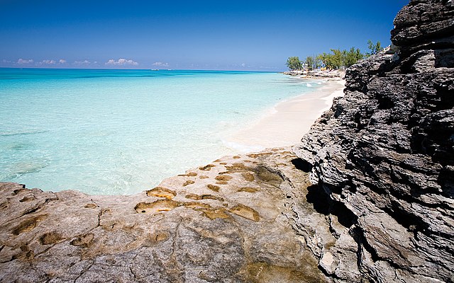 Bimini Bay, The Bahamas (Nicolerich123, CC BY 4.0)