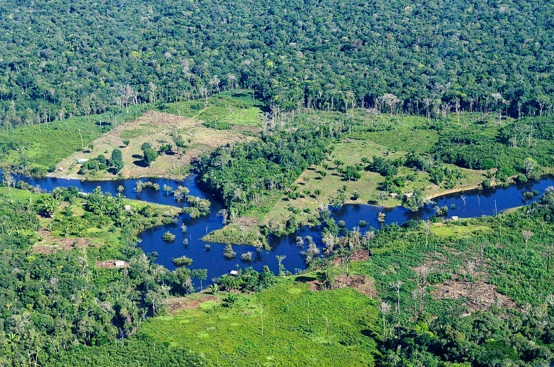 Amazon Rainforest Aerial