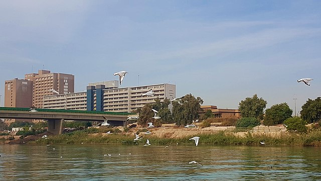 Baghdad Medical City
