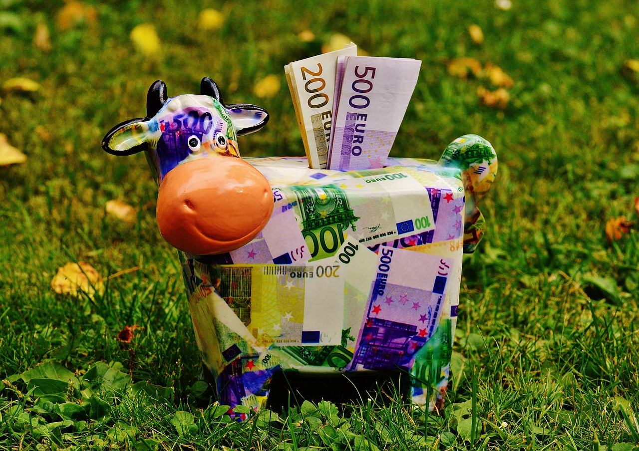 Cow Money
