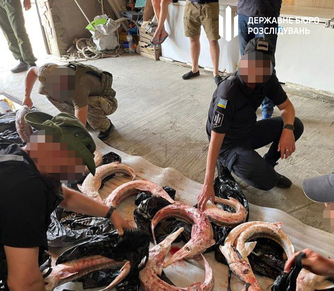 В Украине арестовали чиновников, которые содействовали незаконному рыбному промыслу на Дунае