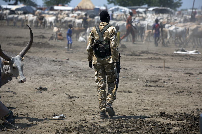 Sudan War Flickr