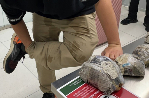 Thailand Customs Turtles