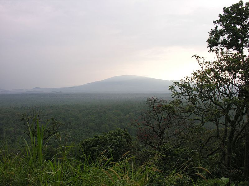 Virunga National Park-107997