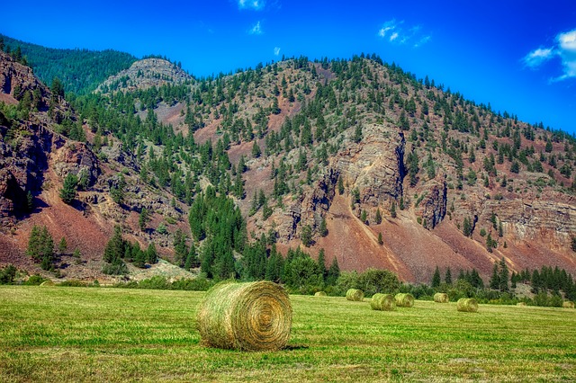 Montana, United States
