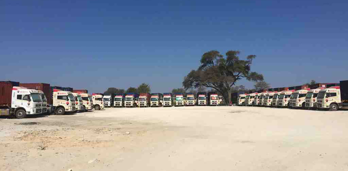 Trucks loaded with hardwood timber from the Democratic Republic of Congo parked at Katima Mulilo. (Credit: John Grobler)