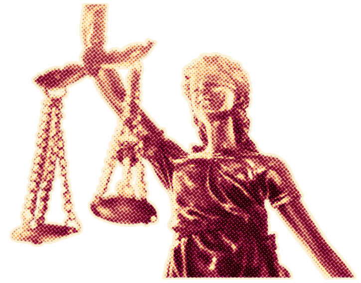 The Judge