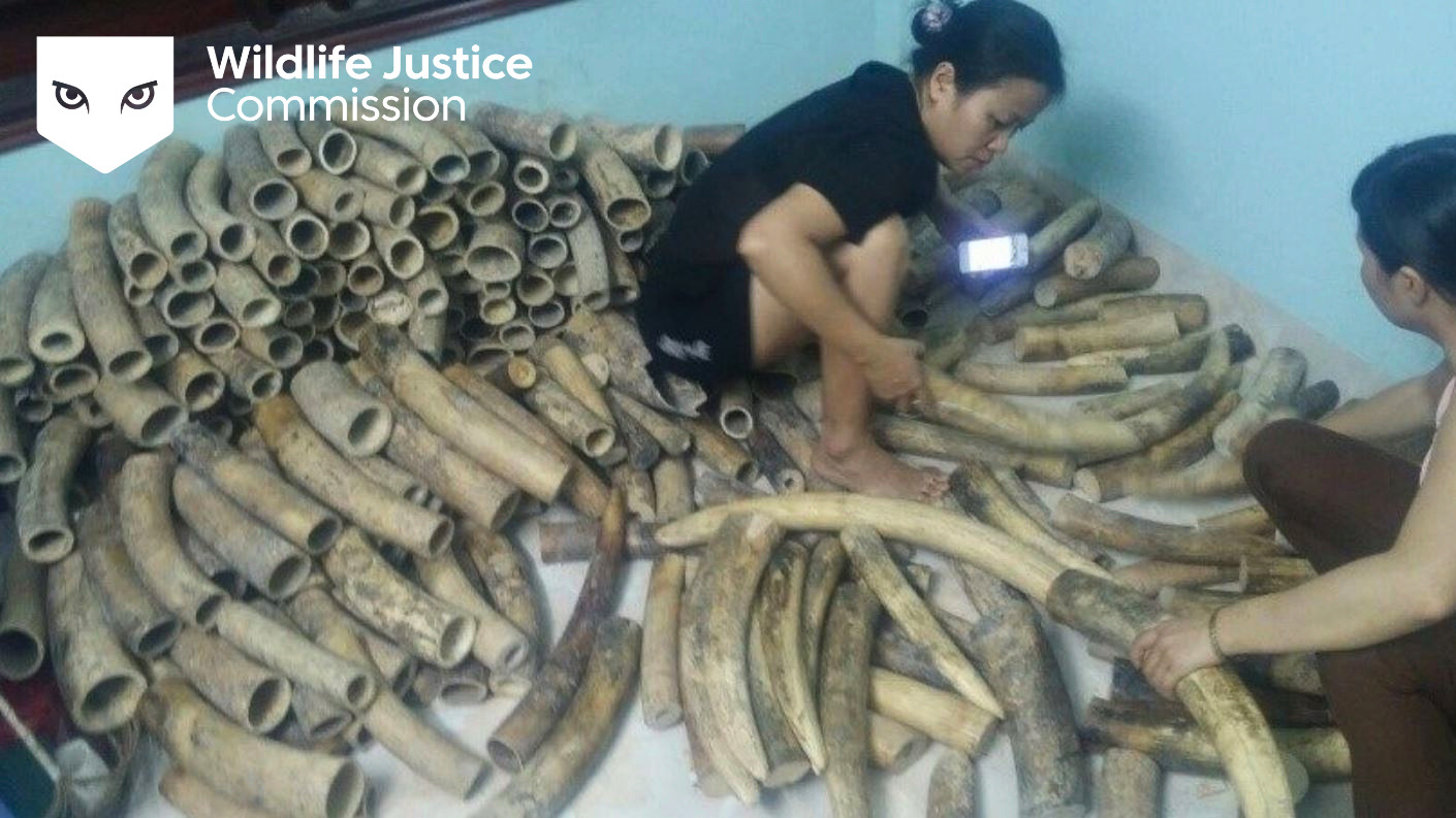 Как во Вьетнаме арестовали крупного торговца ресурсами дикой природы