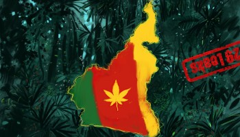Cameroon’s Cannabis Plans Go Up in Smoke