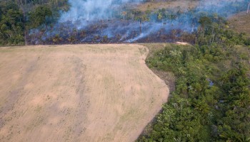 Report: Fashion Giants are Fueling Amazon Deforestation