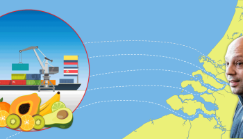 Going Bananas: Flanders Transformed into Hub for International Cocaine Trafficking