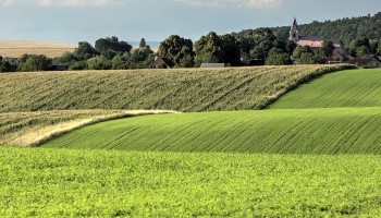 Italian Farms, Slovak Soil