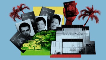 Nearly a Dozen People Bought Dominica Passports Before Going on the Run Over Crimes Back Home